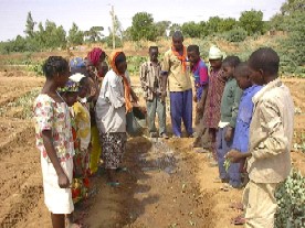 Appui au Mouvement des Compagnons Educateurs